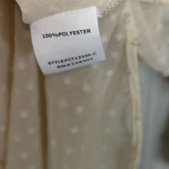 Lumiere Off-White Swiss dot Sheer Blouse - Picture 6 of 9